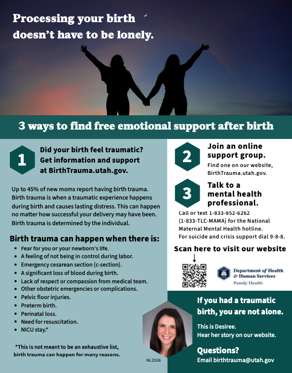 flyer of birth trauma resources