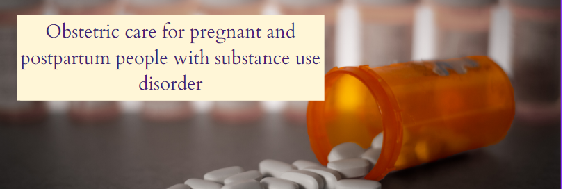 Introduction to Care for Pregnant and Postpartum People with Substance Use  Disorder: AIM Patient Safety Bundle on Vimeo